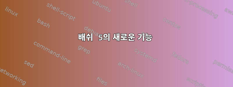 배쉬 5의 새로운 기능