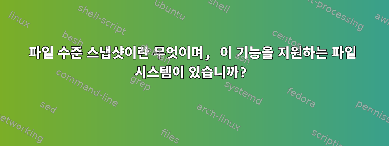 파일 수준 스냅샷이란 무엇이며, 이 기능을 지원하는 파일 시스템이 있습니까?