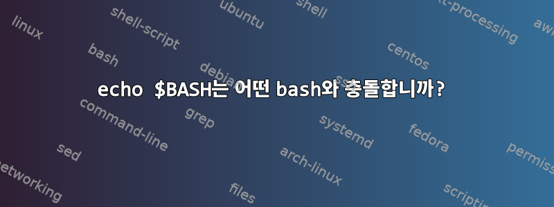 echo $BASH는 어떤 bash와 충돌합니까?