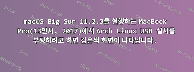 macOS Big Sur 11.2.3을 실행하는 MacBook Pro(13인치, 2017)에서 Arch Linux USB 설치를 부팅하려고 하면 검은색 화면이 나타납니다.