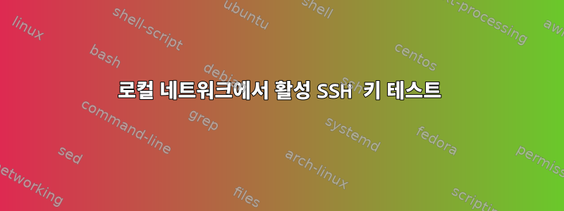 로컬 네트워크에서 활성 SSH 키 테스트