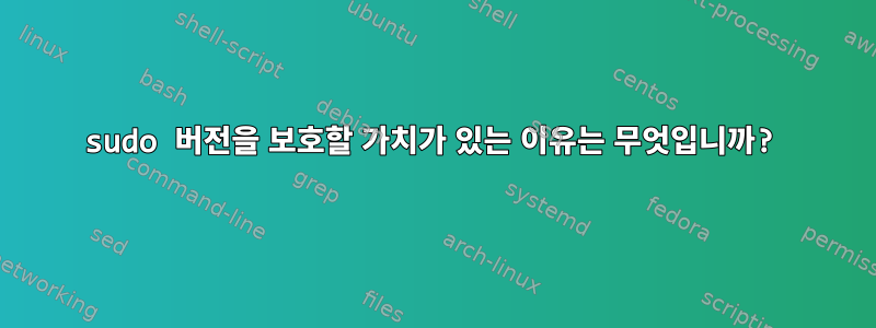 sudo 버전을 보호할 가치가 있는 이유는 무엇입니까?