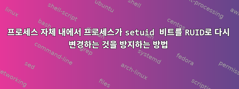 프로세스 자체 내에서 프로세스가 setuid 비트를 RUID로 다시 변경하는 것을 방지하는 방법