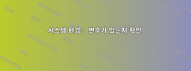 시스템 환경: 변수가 있는지 확인