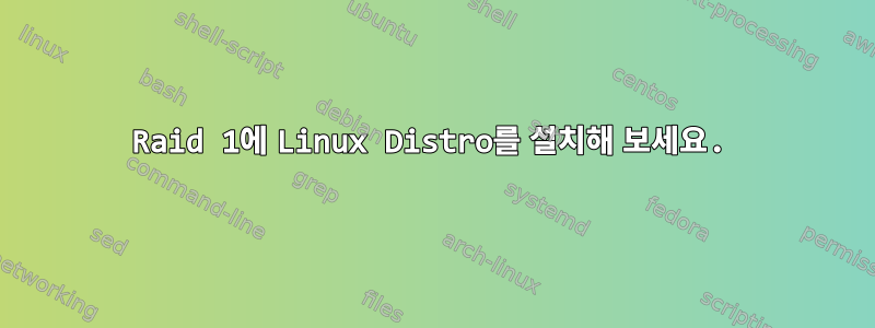 Raid 1에 Linux Distro를 설치해 보세요.