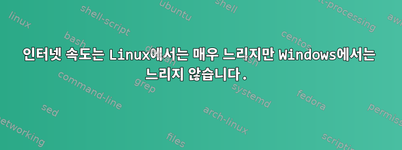 인터넷 속도는 Linux에서는 매우 느리지만 Windows에서는 느리지 않습니다.