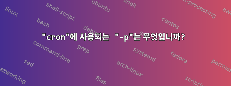 "cron"에 사용되는 "-p"는 무엇입니까?