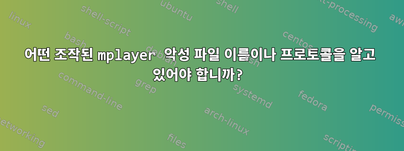 어떤 조작된 mplayer 악성 파일 이름이나 프로토콜을 알고 있어야 합니까?