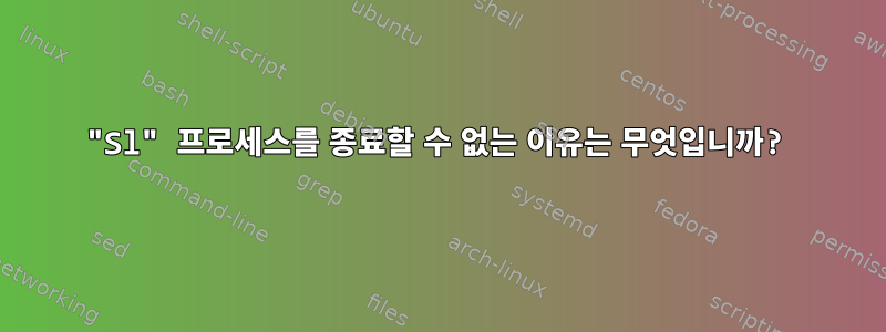 "Sl" 프로세스를 종료할 수 없는 이유는 무엇입니까?