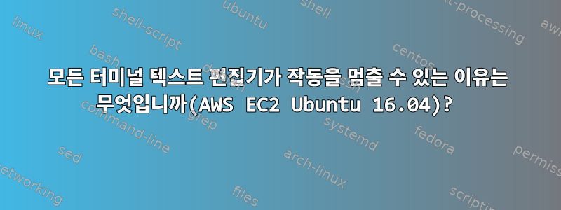 모든 터미널 텍스트 편집기가 작동을 멈출 수 있는 이유는 무엇입니까(AWS EC2 Ubuntu 16.04)?