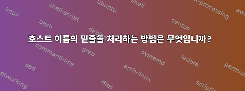 호스트 이름의 밑줄을 처리하는 방법은 무엇입니까?