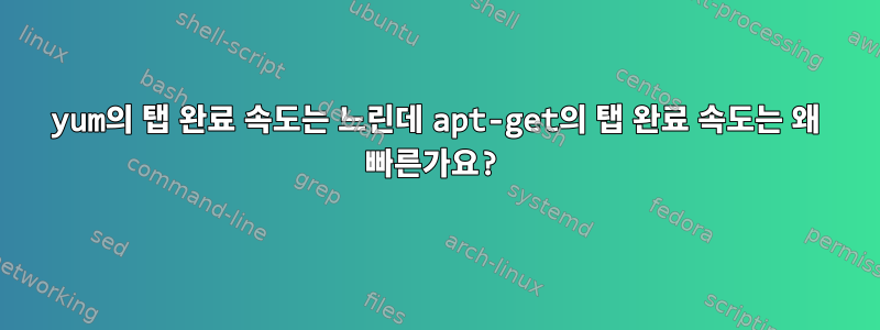 yum의 탭 완료 속도는 느린데 apt-get의 탭 완료 속도는 왜 빠른가요?