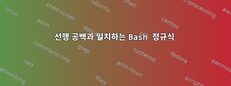 선행 공백과 일치하는 Bash 정규식