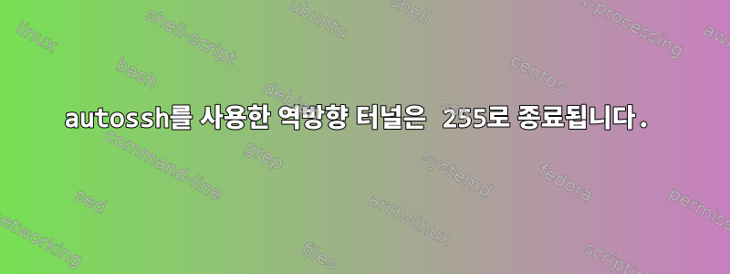 autossh를 사용한 역방향 터널은 255로 종료됩니다.