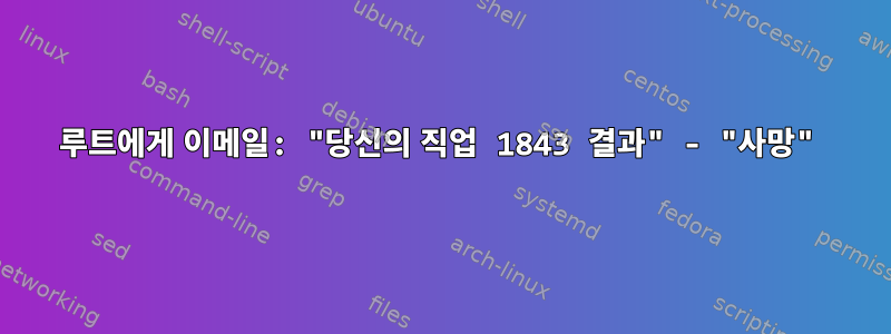 루트에게 이메일: "당신의 직업 1843 결과" - "사망"