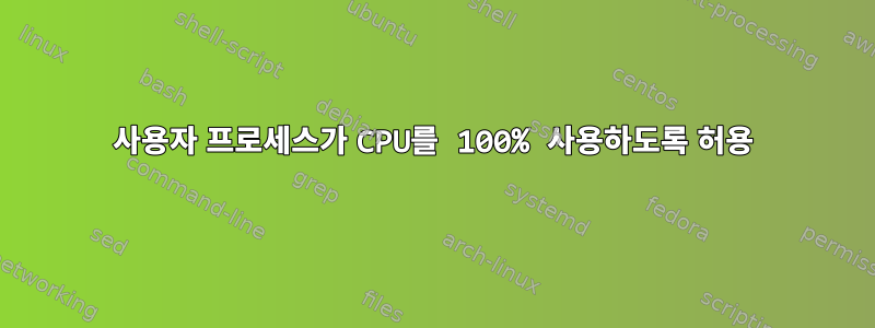 사용자 프로세스가 CPU를 100% 사용하도록 허용