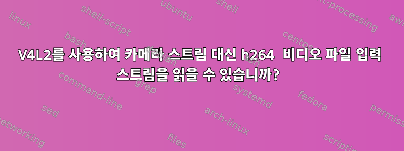 V4L2를 사용하여 카메라 스트림 대신 h264 비디오 파일 입력 스트림을 읽을 수 있습니까?