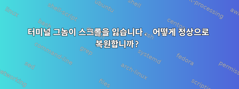 터미널 그놈이 스크롤을 잃습니다. 어떻게 정상으로 복원합니까?