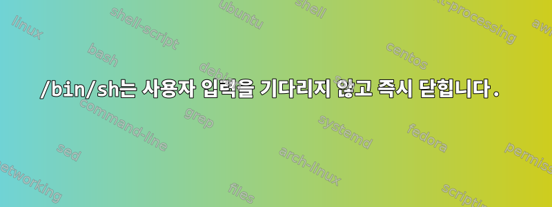 /bin/sh는 사용자 입력을 기다리지 않고 즉시 닫힙니다.