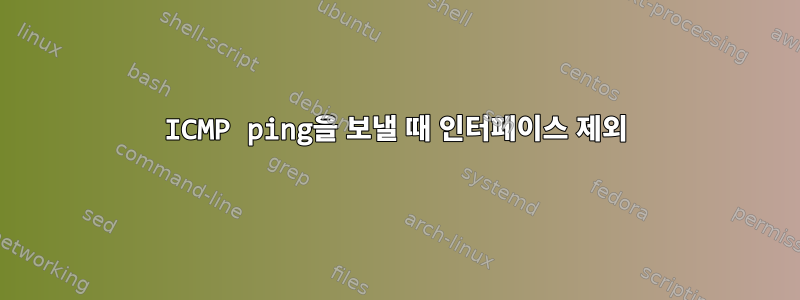 ICMP ping을 보낼 때 인터페이스 제외