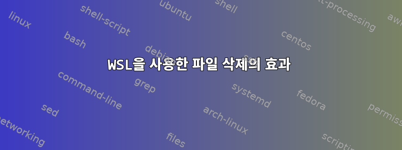 WSL을 사용한 파일 삭제의 효과