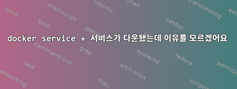 docker service + 서비스가 다운됐는데 이유를 모르겠어요