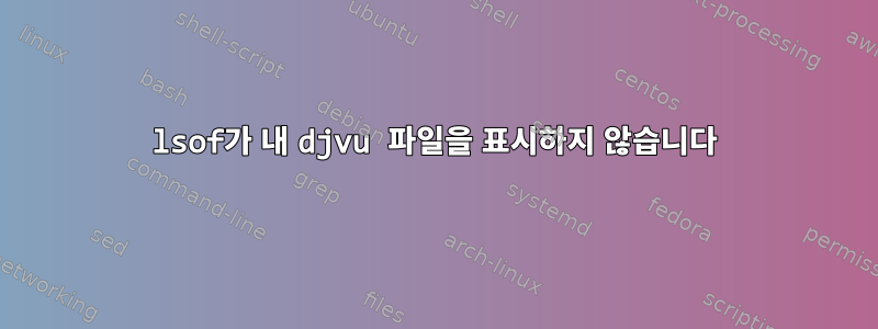 lsof가 내 djvu 파일을 표시하지 않습니다