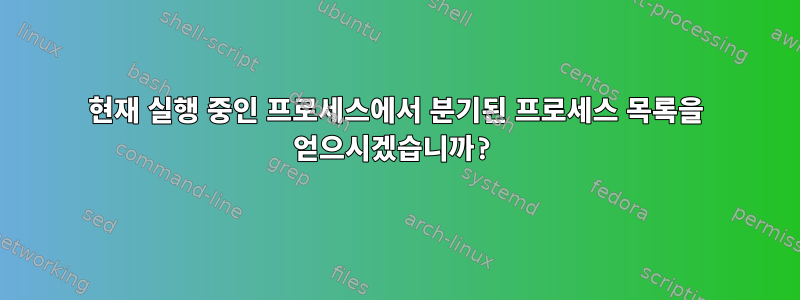 현재 실행 중인 프로세스에서 분기된 프로세스 목록을 얻으시겠습니까?