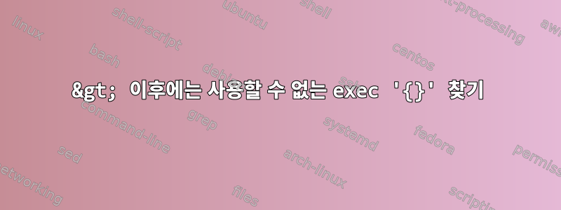 &gt; 이후에는 사용할 수 없는 exec '{}' 찾기