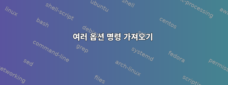 여러 옵션 명령 가져오기