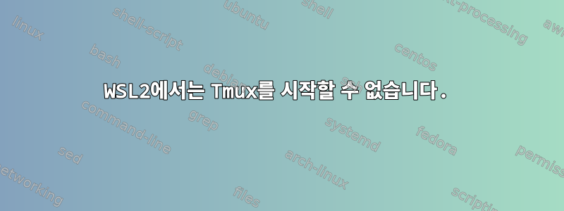 WSL2에서는 Tmux를 시작할 수 없습니다.