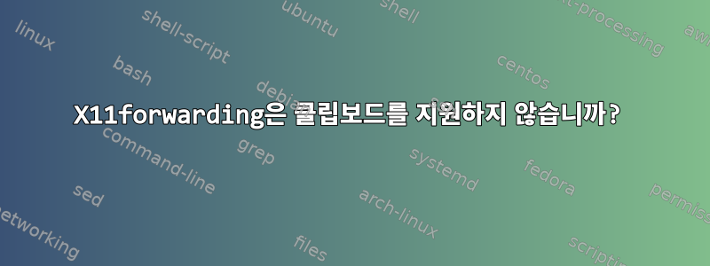 X11forwarding은 클립보드를 지원하지 않습니까?