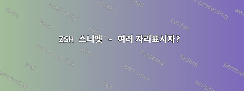 ZSH 스니펫 - 여러 자리표시자?