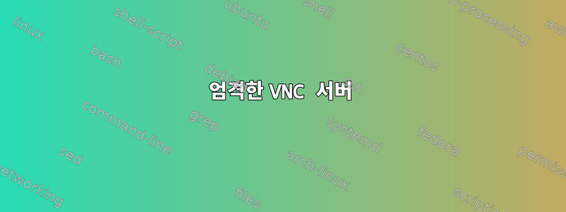 엄격한 VNC 서버