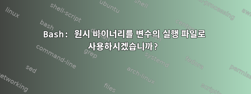 Bash: 원시 바이너리를 변수의 실행 파일로 사용하시겠습니까?