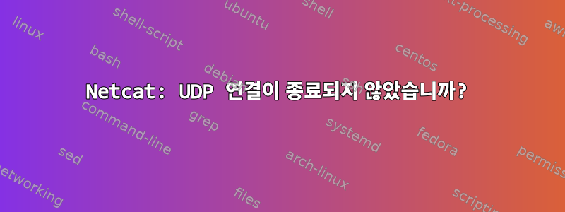 Netcat: UDP 연결이 종료되지 않았습니까?