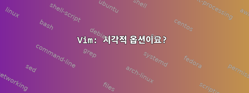 Vim: 시각적 옵션이요?