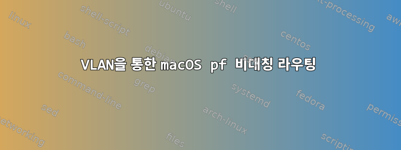 VLAN을 통한 macOS pf 비대칭 라우팅