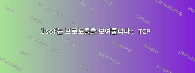 lsof는 프로토콜을 보여줍니다: TCP