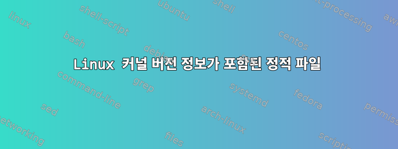 Linux 커널 버전 정보가 포함된 정적 파일