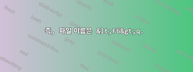 즉, 파일 이름은 &lt;F6&gt;q.