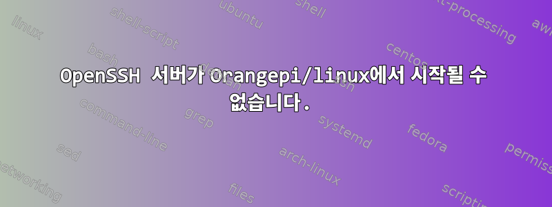 OpenSSH 서버가 Orangepi/linux에서 시작될 수 없습니다.