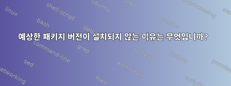 예상한 패키지 버전이 설치되지 않는 이유는 무엇입니까?