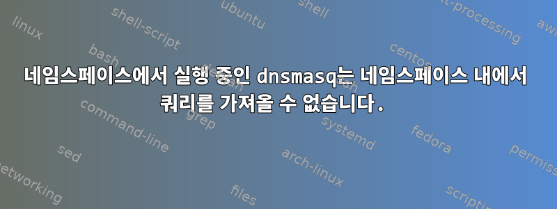 네임스페이스에서 실행 중인 dnsmasq는 네임스페이스 내에서 쿼리를 가져올 수 없습니다.