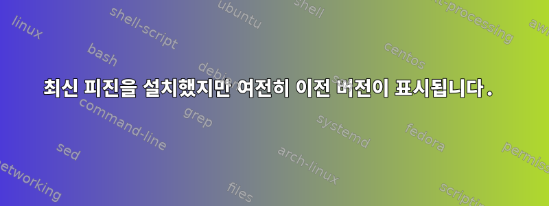 최신 피진을 설치했지만 여전히 이전 버전이 표시됩니다.