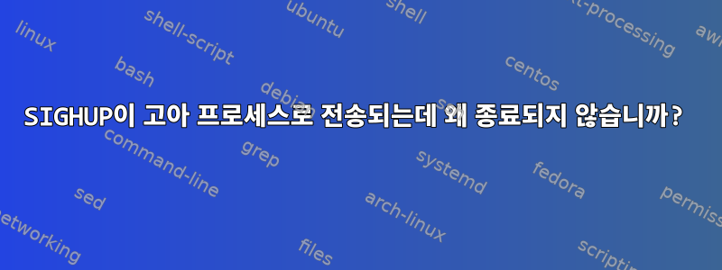 SIGHUP이 고아 프로세스로 전송되는데 왜 종료되지 않습니까?