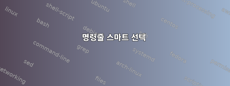 명령줄 스마트 선택