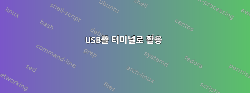 USB를 터미널로 활용