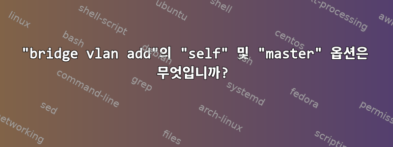 "bridge vlan add"의 "self" 및 "master" 옵션은 무엇입니까?