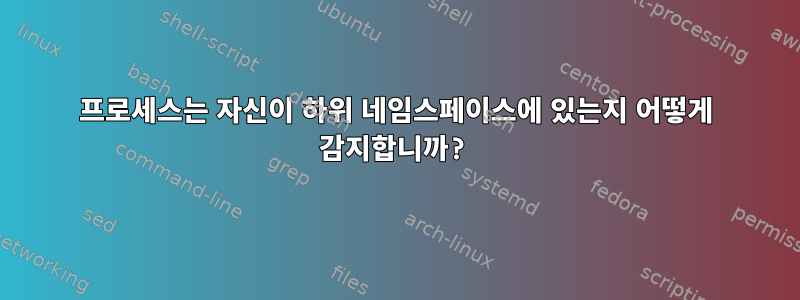 프로세스는 자신이 하위 네임스페이스에 있는지 어떻게 감지합니까?